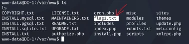 VulnHub DC-1 靶机实战 示意图 9
