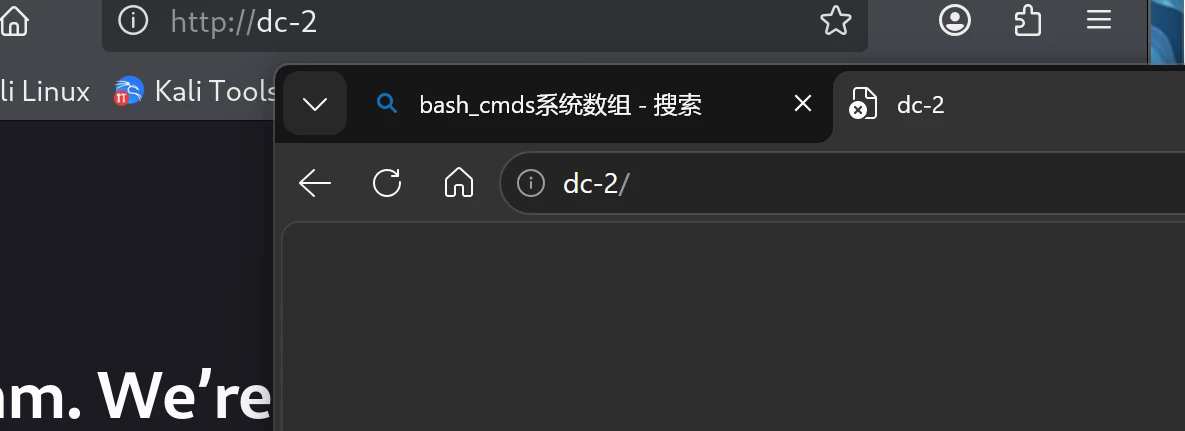 VulnHub DC-2 靶机实战 示意图 4