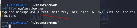 VulnHub Node 靶机实战 示意图 11