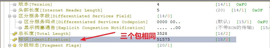 IP协议分析.pdf 示意图 5