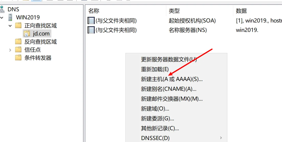 DNS 部署与安全 示意图 6